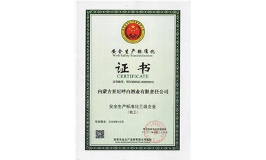 安全生產(chǎn)標準化